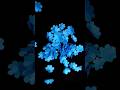 How to Make Paper Flowers | #craft  #shorts #papercraft #artandcraft #youtubeshorts #blue