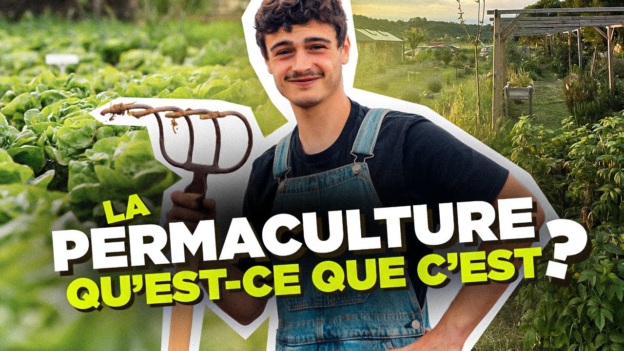 PERMACULTURE : Mes méthodes et retours d’expérience