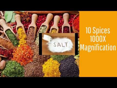 1000X Magnification of 10 Spices