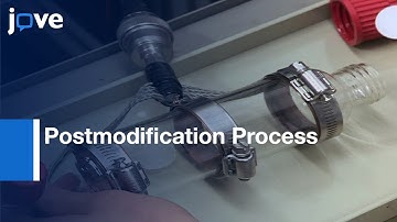 Preparation-Light-Responsive Membranes By Combined Surface Grafting l Protocol Preview