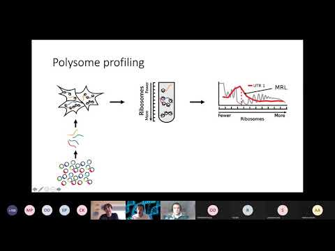 Georg Seelig: Sequence design for gene expression control and DNA computing with machine learning