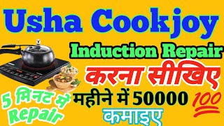 Induction Cooktop Repair: The Usha Induction Cooktop Chronicles