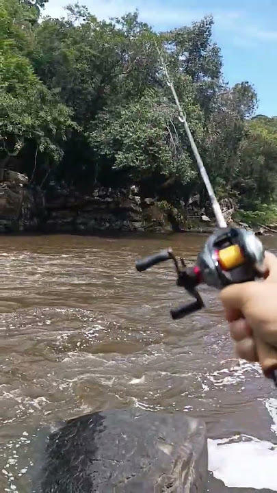 di spot batang sungai ulu baram #fishing #anglersagala #safanafishing