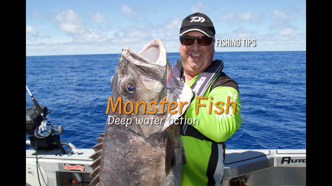 Deep Water Action! Targeting Hapuku & Bluenose (Monster Fish)
