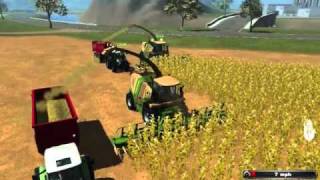 maize in ls2011
