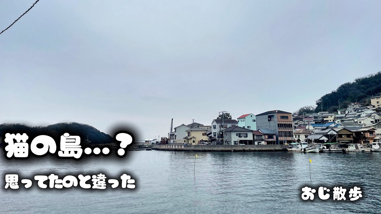 おじ散歩｜猫の島・家島へ。思ってたのと違った離島散歩（兵庫・姫路）