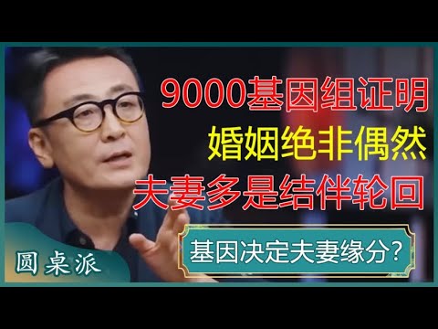 夫妻之缘真的物理存在！9000人类基因组证明：婚姻绝非偶然，夫妻多是结伴轮回？#窦文涛 #梁文道 #马未都 #周轶君 #许子东