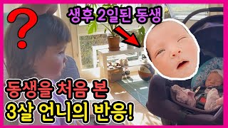 미국 출산후 하루만에 퇴원하고 집으로 갔어요. 신생아 동생을 처음 본 첫째의 기막힌 반응!