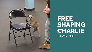 Free Shaping Demonstration with Tyler Muto