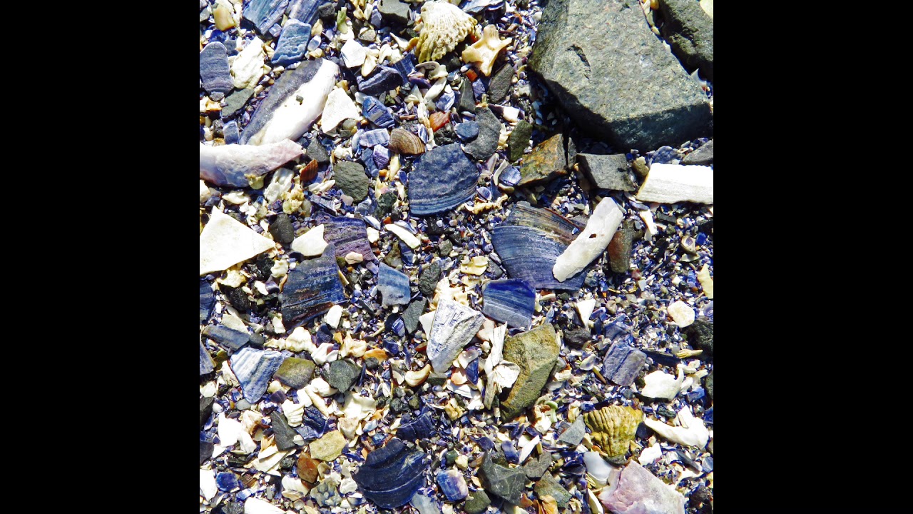 Maine...A Tidal Pool Mystery