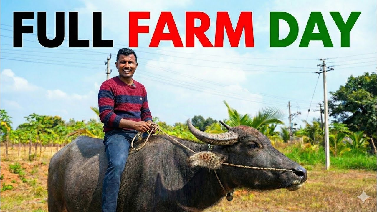 Life in My Village | A Farmer’s Daily Routine - YouTube