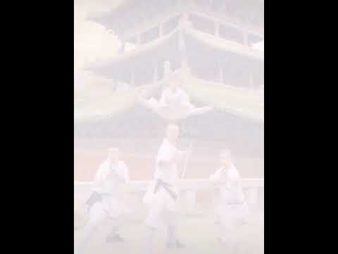 Shaolin Beats 🔥🐲 武术少林功夫