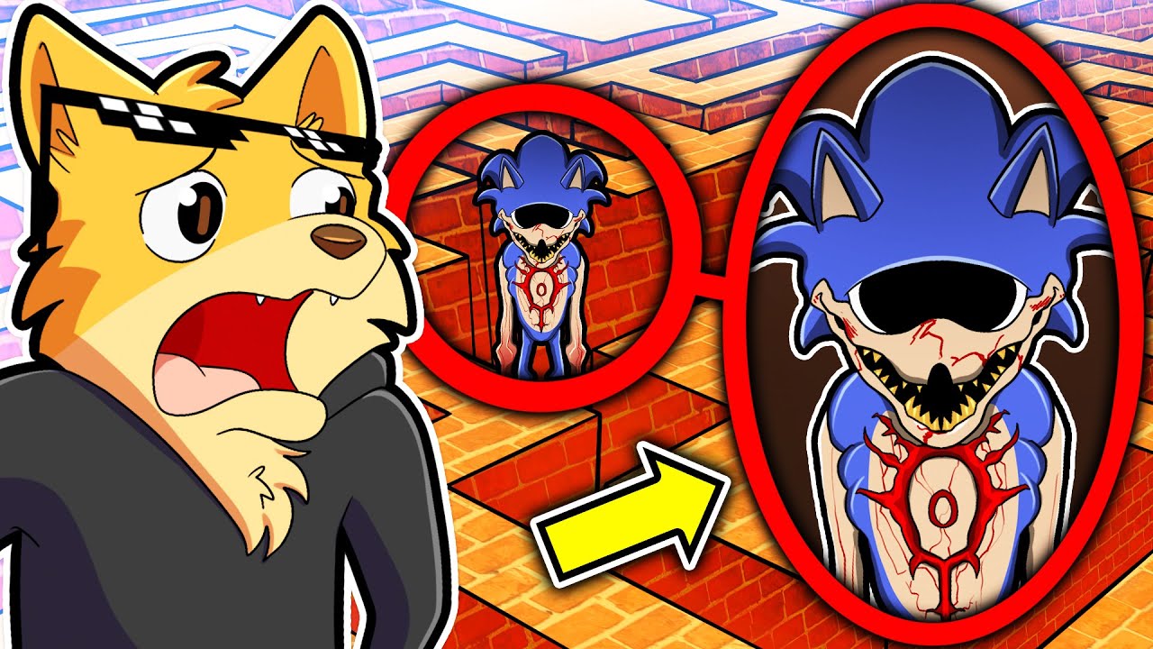 INTRAPPOLATO CON SONIC.EYX NEL LABIRINTO GIGANTE DI GMOD CON DRCAT! RIUSCIRÒ A SCAPPARE?