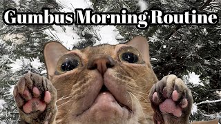 Gumbus Morning Routine She Has Plans