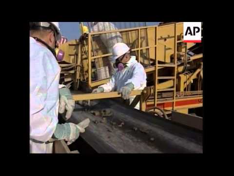 Latest from Ground Zero - YouTube