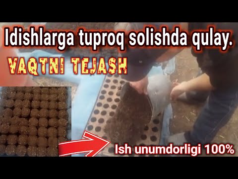 Video: Issiqxonada Tuproqni Dezinfektsiya Qilish