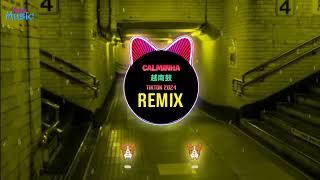 Calminha 越南鼓 (DJ抖音版 2024 Remix Tiktok) 葡萄牙舞曲 Produção Dj Cleber Mix || Hot Tiktok Douyin