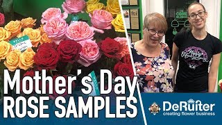 JFTV: New Rose Samples from breeder DeRuiter, with Ashley & Mommy Black