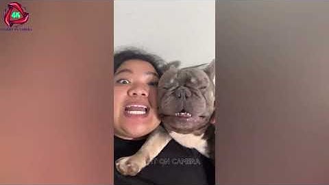 Unforgettable Moments on CCTV #1 | Instant Regret Compilation | Try Not To Laugh Challenge 2025