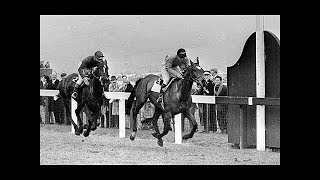 The BBC Grand National 1965 - Jay Trump