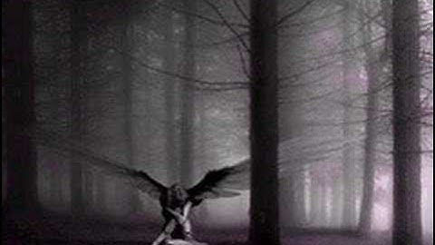 Thumbnail of Bach - Cantata BWV 140 - Peter Schreier - Sleepers wake