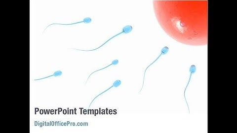 Conception Of New Life PowerPoint Template Backgrounds - DigitalOfficePro #08673