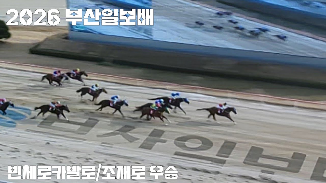 압도적으로 우승한 빈체로카발로! 부산경마장 함성을 울렸다!