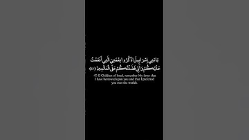 آية47 من سورة البقرة|سورة البقرة مقسمة آية بآية|