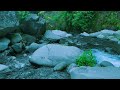 Calm River Sounds to Help You Sleep Fast at Night – Deep Relaxation – Clear Your Mind