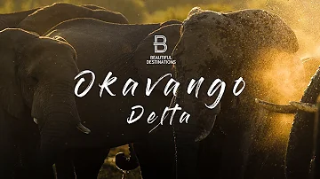 Dove nasce Okavango?