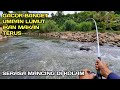 Pas Lagi Gacor Gacornya Mancing Pake Umpan Lumut Ikanya Makan Terus #LM03