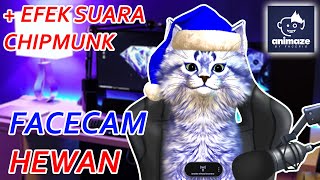 Cara Membuat Facecam Hewan + Efek Suaranya | OBS Untuk Recording dan Streaming screenshot 4