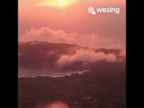 如果你知我苦衷