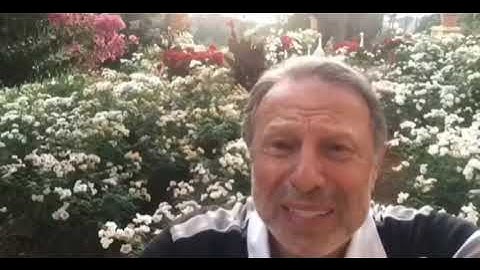 قراءة منشاوية مجودة لما تيسر من سورة النمل بصوت الشيخ احمد الطرابلسي حفظه الله