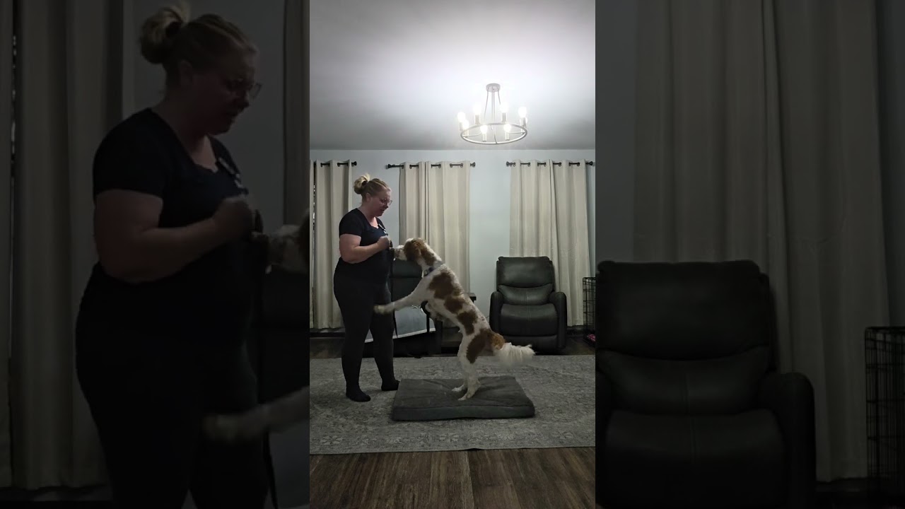 Ollie’s Residency: Introducing the Place Board & Foundation Skills