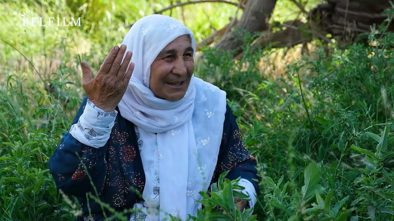 AWAZÊN ZÊRÎN - DENGBÊJ FADÎLE