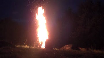 lynx can in massive bon-fire
