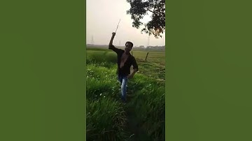 #Java Run & # Shorts