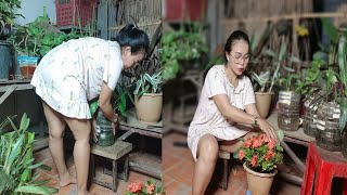 I Love Plants Plants Give Liking Is Nature