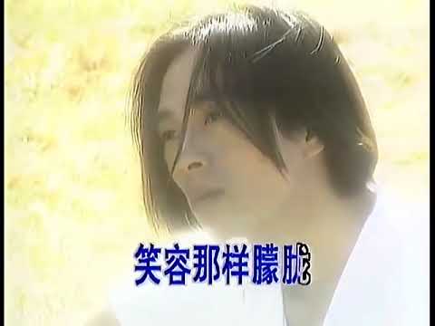 劉海波  人面桃花  早期大陸MV