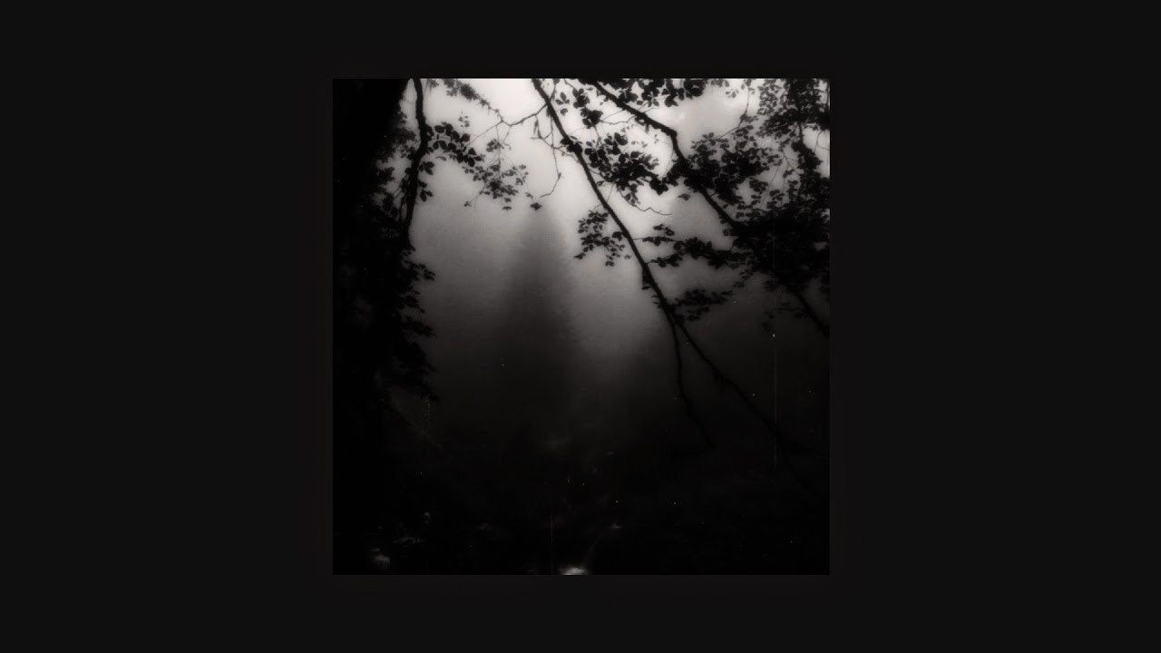 The cure - a forest (speed up)