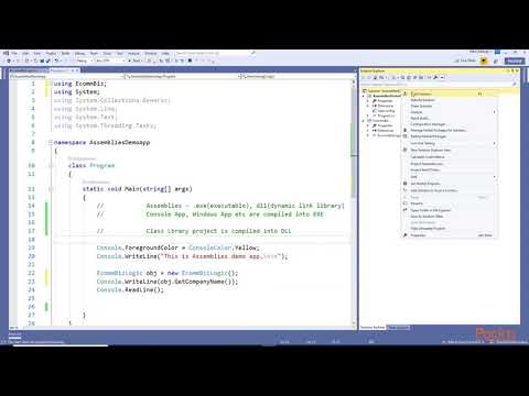 C# 8 Programming in 4 Hours: Assemblies | packtpub.com