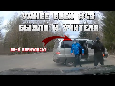 УМНЕЕ ВСЕХ #43. БЫДЛО И УЧИТЕЛЯ НА ДОРОГЕ