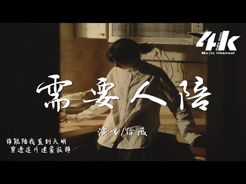 徐薇 - 需要人陪『一個我 需要夢想，需要方向 需要眼淚。』【高音質|動態歌詞Lyrics】♫
