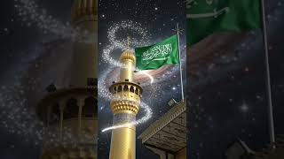 Ali Ali ali #maulaali #shrine #nazaf #islamicvideo #ali #haidarekarrar #haider #hasanhussain