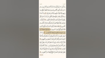 سورة البقرة القارئ الشيخ علي الحذيفي الصفحة ١٠