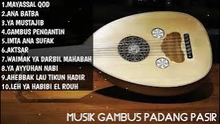 MUSIK GAMBUS PADANG PASIR TERBAIK || SEJUK DI DENGAR