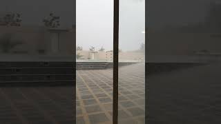storm#satisfyng#short#trendzone