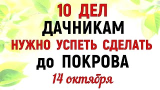 10 Важных ДЕЛ которые нужно успеть сделать дачникам до 14 октября.