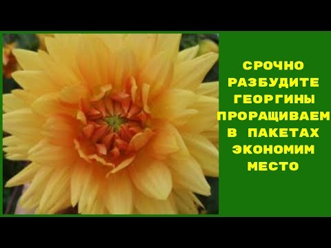 ЭТО ПРОСТО! КАК